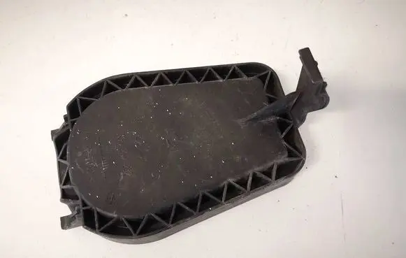 Volkswagen Touran I Headlight/headlamp dust cover 1305239232