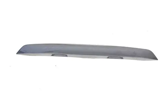 Trunk door license plate light bar