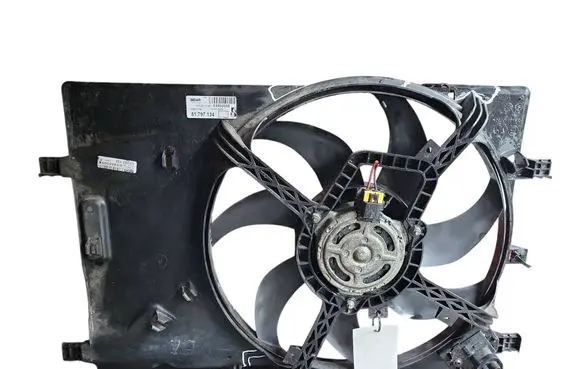 Fiat Punto (199) Electric radiator cooling fan E5502005 0277784 51797134