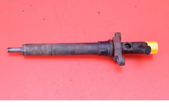 Citroen C5 Fuel injector 9656389980
