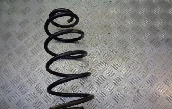 Seat Leon (1M) Rear coil spring