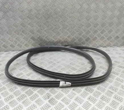 Renault Arkana Rubber seal rear door 769240825R