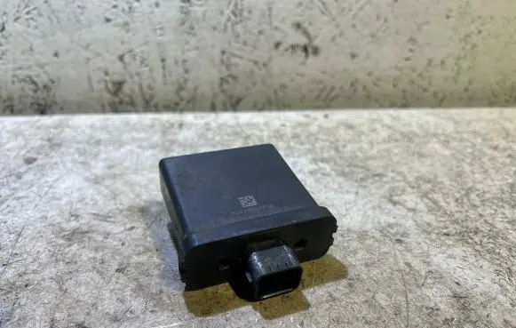 Chrysler 300C Other control units/modules 7K011308120713