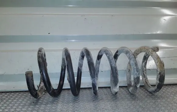 Ford S-MAX Rear coil spring