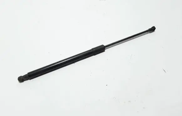 Tailgate strut