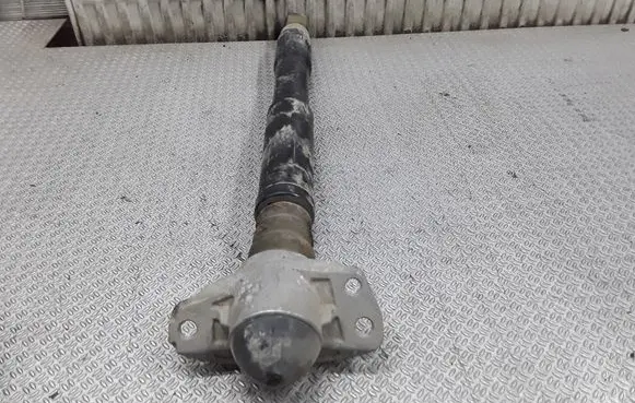 Rear shock absorber/damper