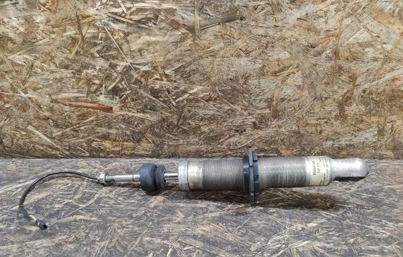 Maserati Coupe Rear shock absorber/damper 220939