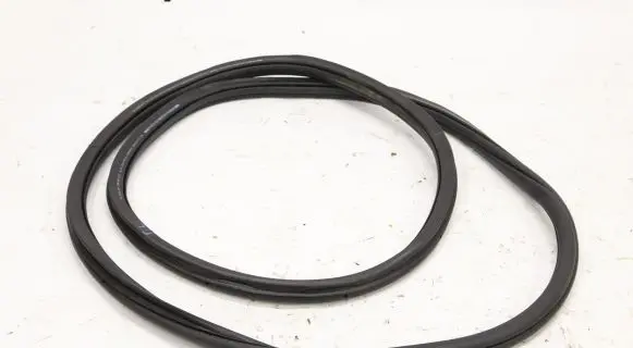 Volkswagen Golf VIII Rubber seal front door (on door) 