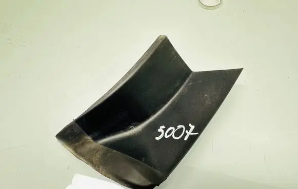 Rear/tail light trim molding