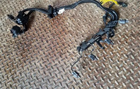 BMW 4 F36 Gran coupe Fuel injector wires 8636064