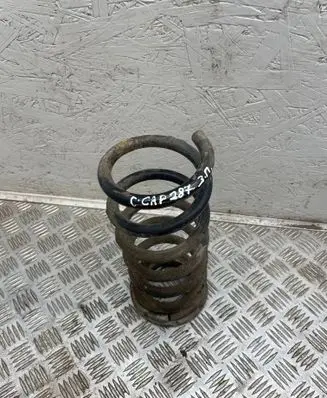 Chevrolet Captiva Rear coil spring 
