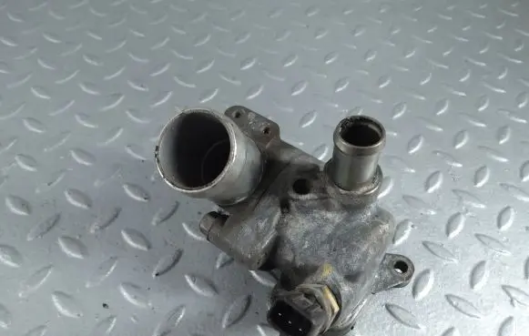 Thermostat/thermostat housing