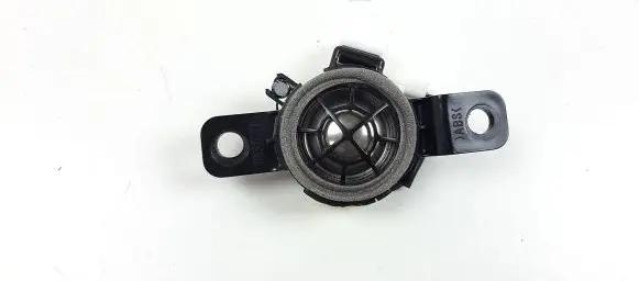 Front door high frequency speaker