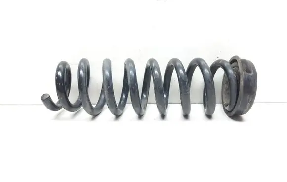 Rear coil spring