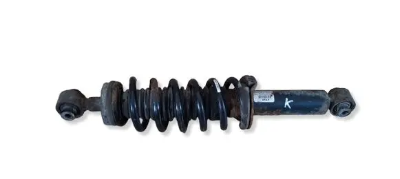 Peugeot 407 Rear shock absorber with coil spring 