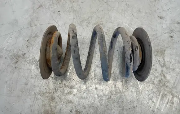 Rear coil spring