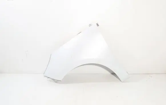 Renault Scenic III - Grand scenic III Fender