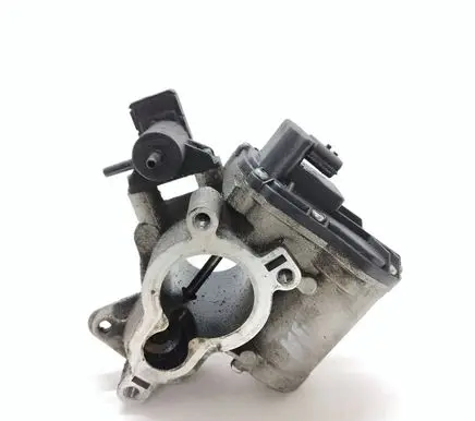 Renault Trafic II (X83) EGR valve 21T334 710334030