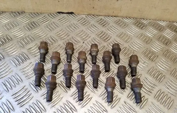 Dacia Sandero Nuts/bolts 