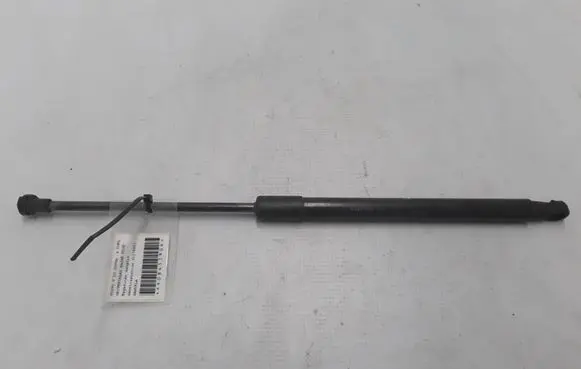 Tailgate strut
