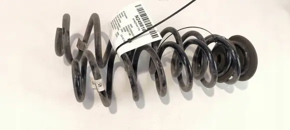 Rear coil spring