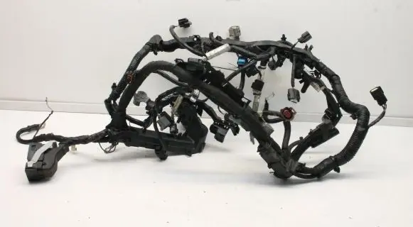 Ford Ecosport Engine installation wiring loom GN1512C508
