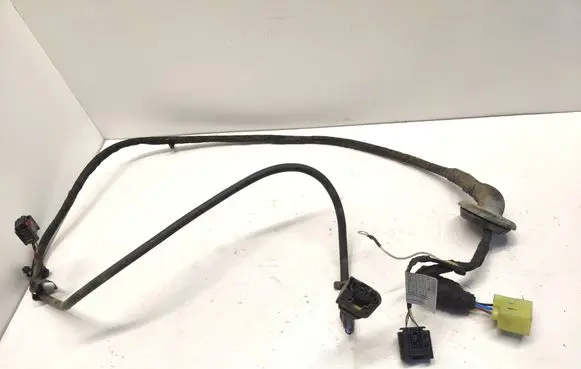 Other wiring loom