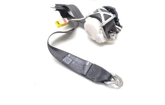 Volkswagen PASSAT B7 Front seatbelt 3C1857706R 34077660