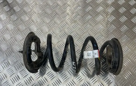 Tesla Model 3 Rear coil spring 104447201E