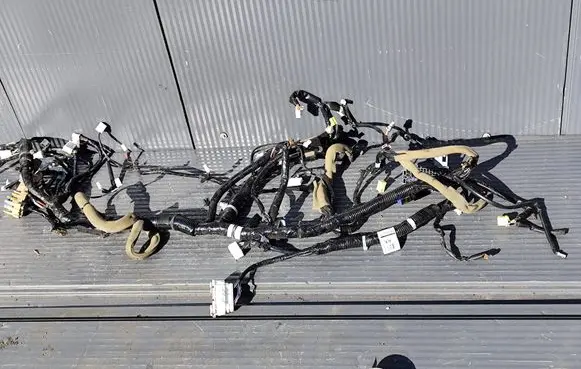 Nissan Juke I F15 Other wiring loom 24010BX94B