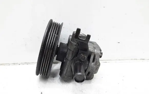 KIA Carnival Power steering pump