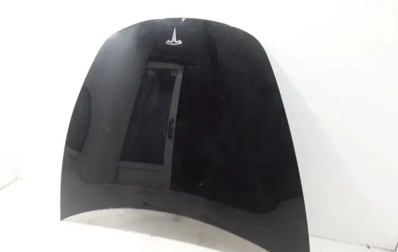 Tesla Model 3 Engine bonnet/hood 1081390E0C