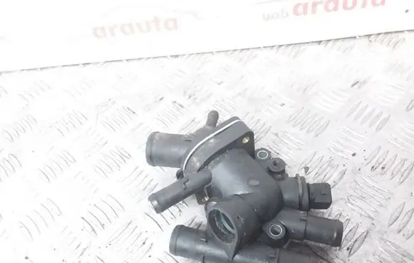 Renault Megane I Thermostat/thermostat housing