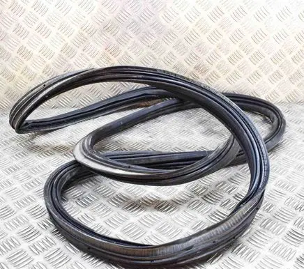 Ford Mustang Mach-E Trunk rubber seal (body) LJ8BR404A07AA