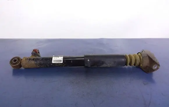 Volkswagen PASSAT B6 Rear shock absorber/damper 3C0512009F