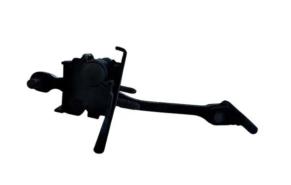 Citroen DS5 Front door check strap stopper 