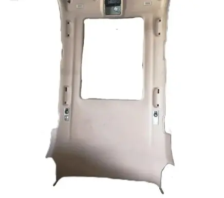 BMW X5 E70 Headlining 