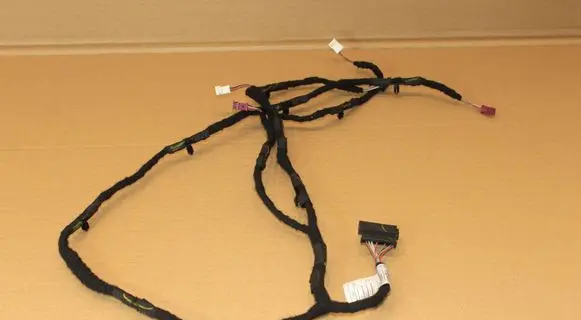 BMW 2 G42 Front door wiring loom 5A52E8901