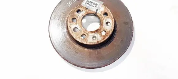 Volkswagen Golf V Front brake disc ventiliuojamas
