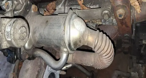Renault Scenic III - Grand scenic III EGR valve cooler