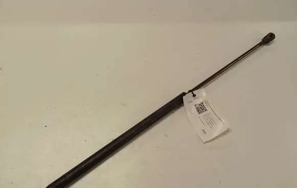 Ford Focus C-MAX Tailgate/trunk strut/damper 3M51R406A10AB