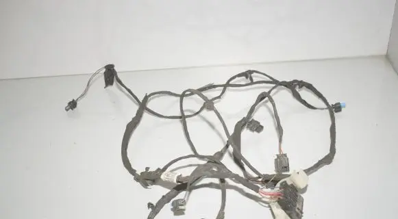 BMW 5 G30 G31 Front door wiring loom 8783183 5A085E4 61125A085E4