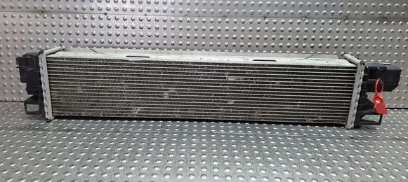 Renault Trafic III (X82) Coolant radiator S27639195 144614882R