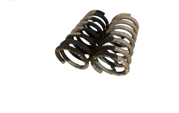 Rear coil spring