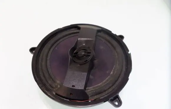 Rear door speaker