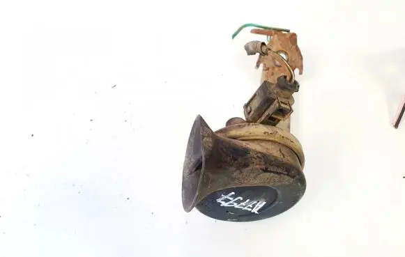 Volkswagen PASSAT B6 Horn signal e1000209
