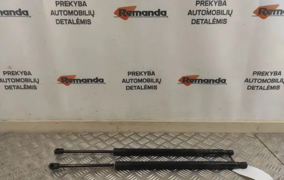 Toyota RAV 4 (XA50) Tailgate strut 689500R060