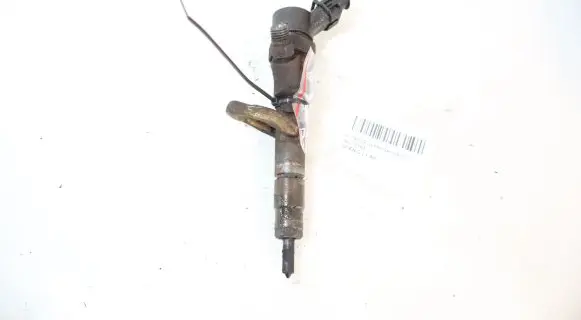 Renault Scenic I Fuel injector 0445110110B