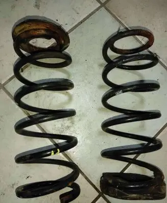 Rear coil spring