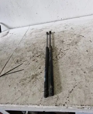 Tailgate/trunk strut/damper